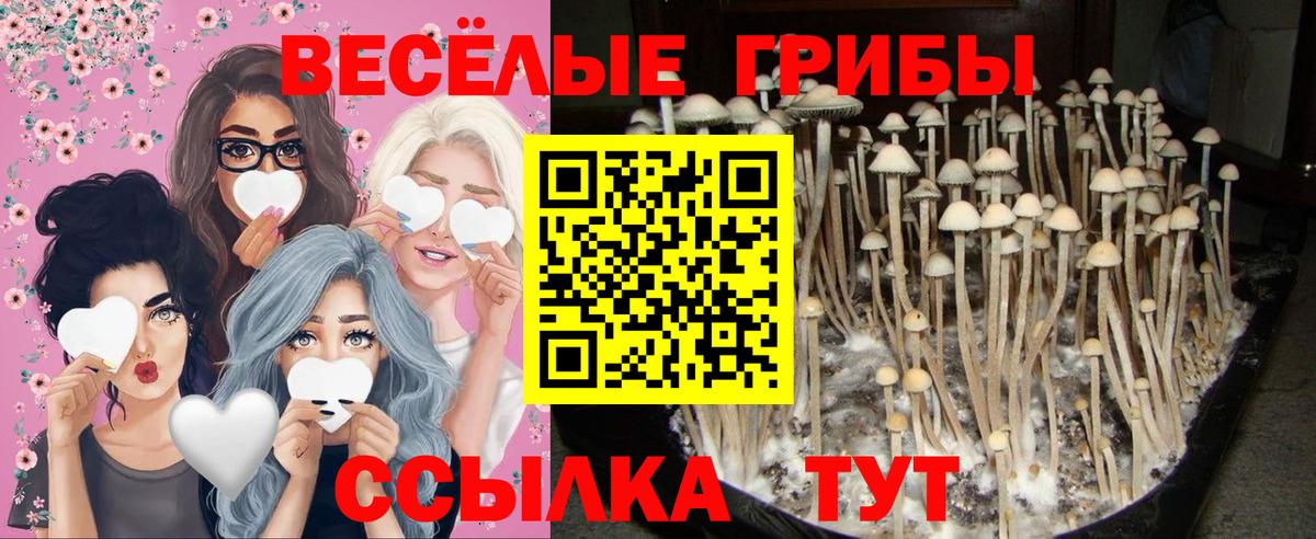 Нальчик  Псилоцибиновые грибы GOLDEN TEACHER  купить закладку  Вход с VPN 